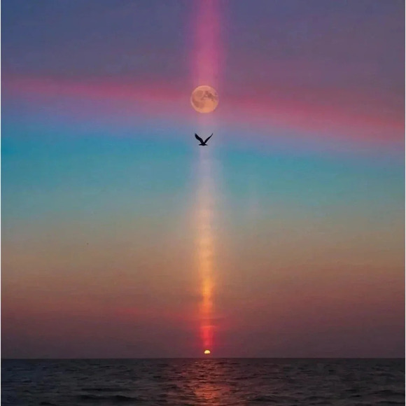 💟💎Vintage Nine  West Hoop Earrings - Picture 9 of 15